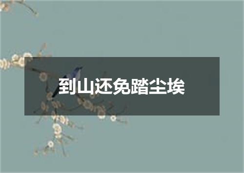 到山还免踏尘埃