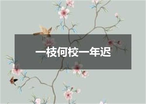 一枝何校一年迟