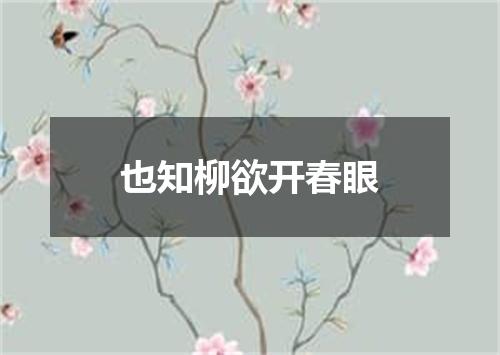 也知柳欲开春眼