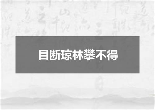 目断琼林攀不得