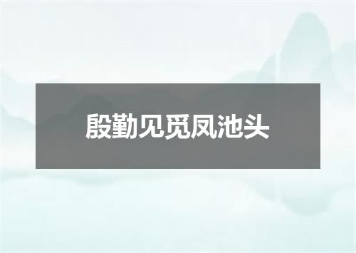 殷勤见觅凤池头