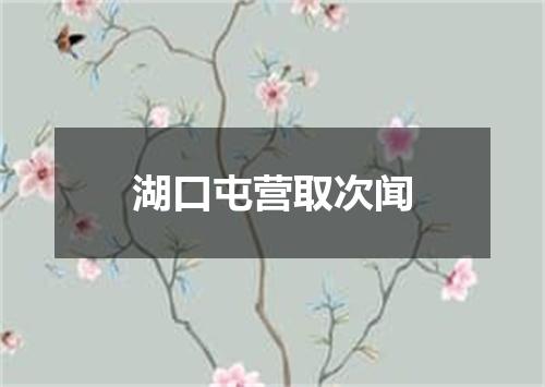 湖口屯营取次闻