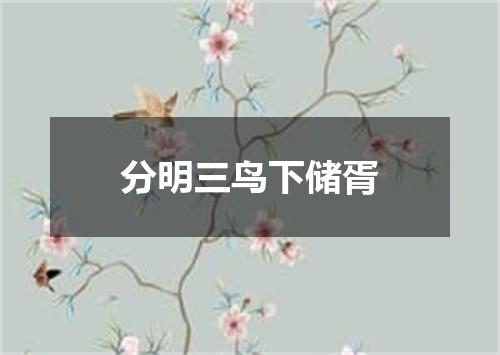 分明三鸟下储胥