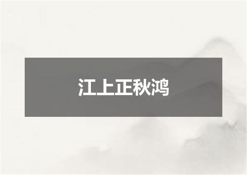 江上正秋鸿