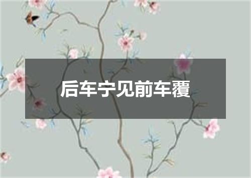 后车宁见前车覆