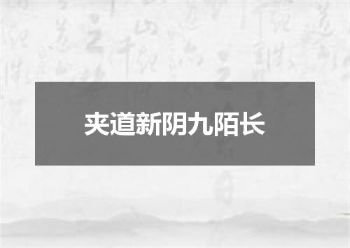 夹道新阴九陌长