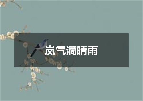 岚气滴晴雨