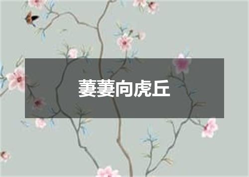 萋萋向虎丘