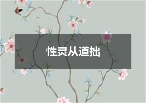 性灵从道拙