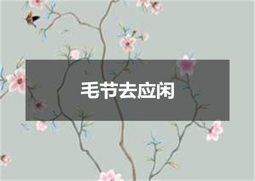 毛节去应闲