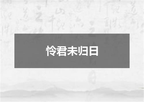 怜君未归日