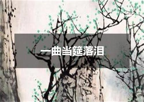 一曲当筵落泪