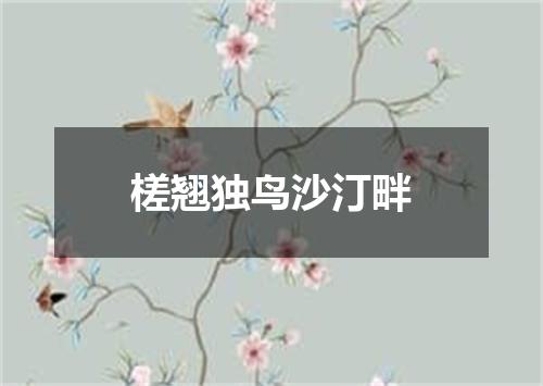 槎翘独鸟沙汀畔