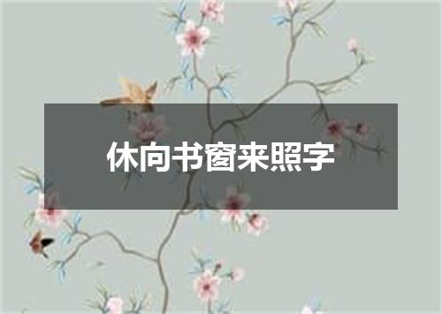 休向书窗来照字