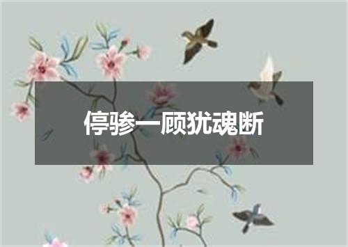 停骖一顾犹魂断