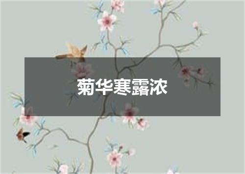 菊华寒露浓