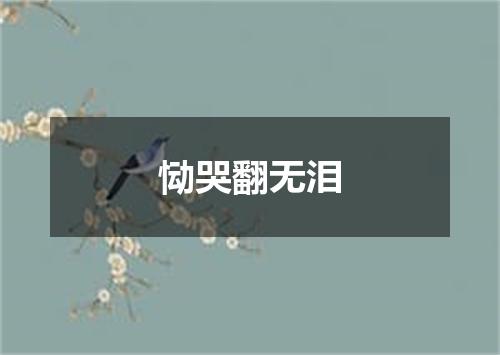 恸哭翻无泪