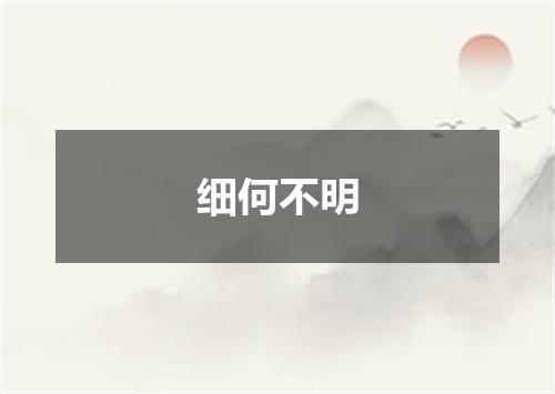 细何不明