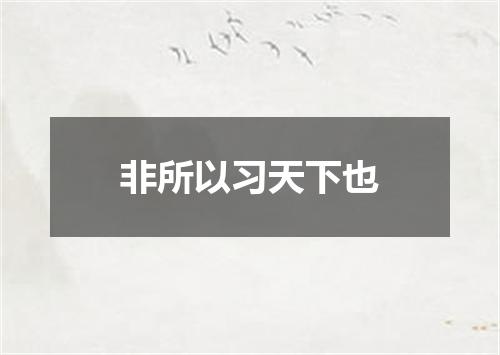 非所以习天下也