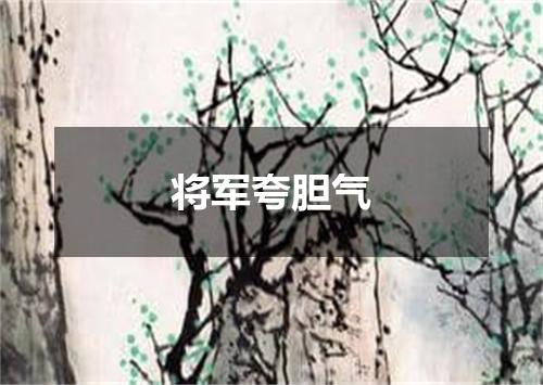 将军夸胆气