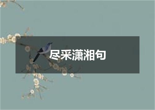 尽采潇湘句