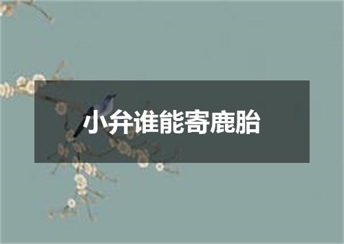 小弁谁能寄鹿胎