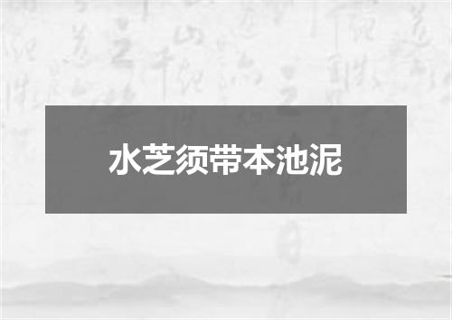 水芝须带本池泥