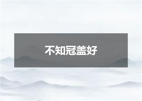 不知冠盖好