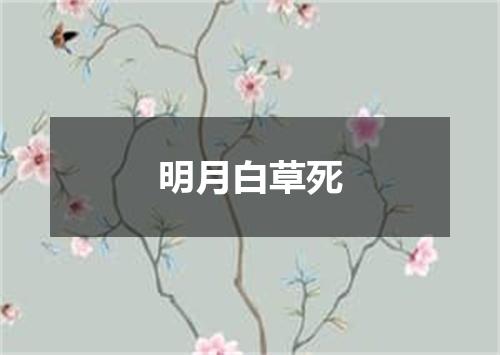 明月白草死