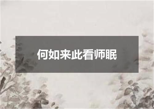 何如来此看师眠