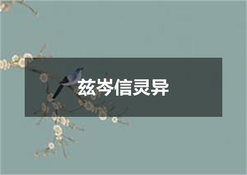 兹岑信灵异