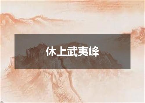 休上武夷峰