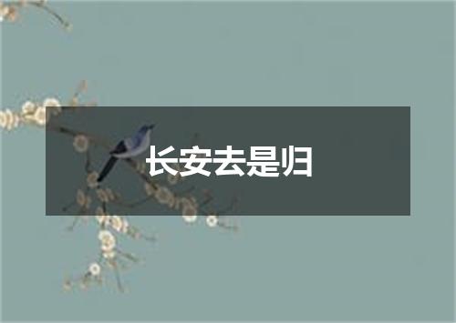 长安去是归