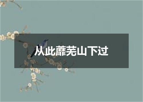 从此蘼芜山下过