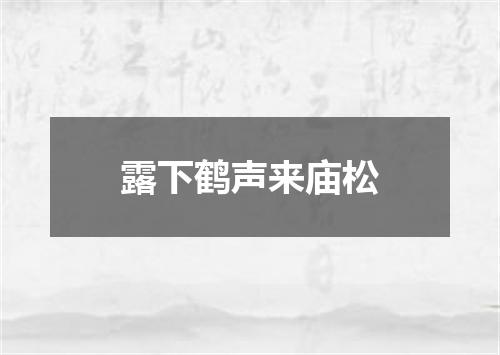 露下鹤声来庙松