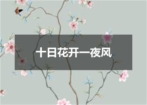 十日花开一夜风