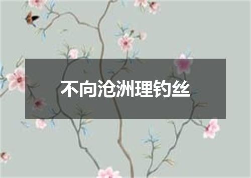 不向沧洲理钓丝