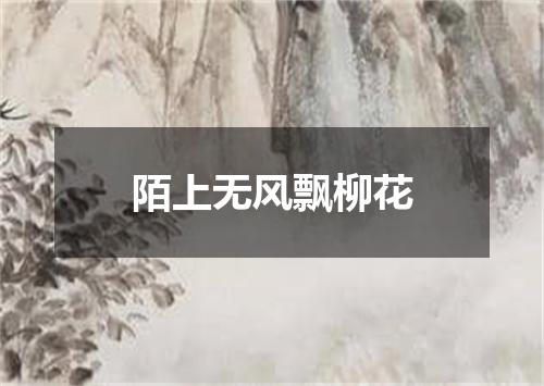 陌上无风飘柳花