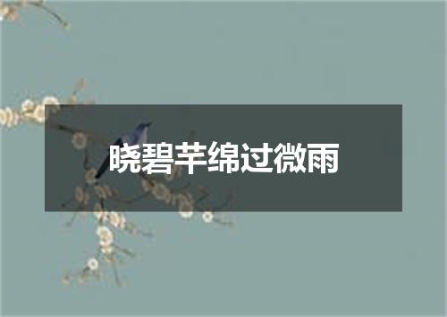 晓碧芊绵过微雨