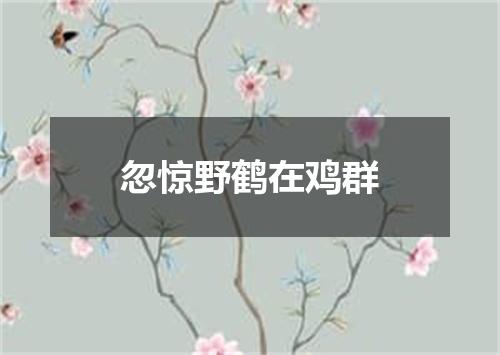 忽惊野鹤在鸡群