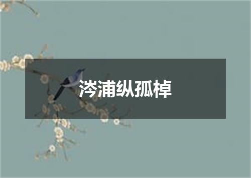 涔浦纵孤棹