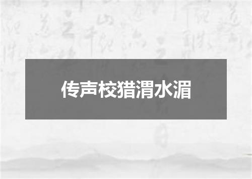 传声校猎渭水湄