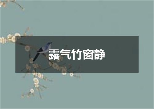 露气竹窗静