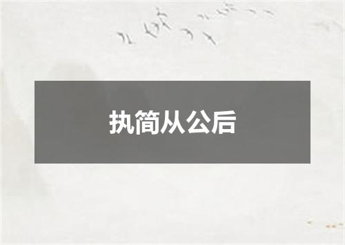 执简从公后