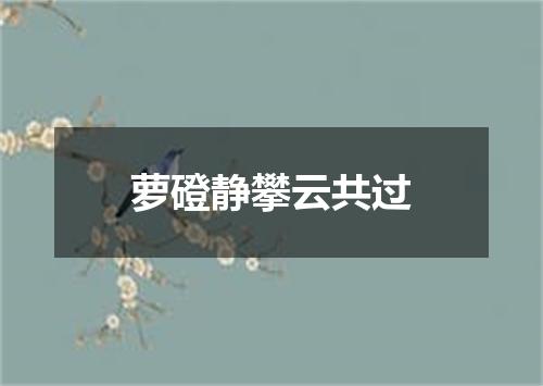 萝磴静攀云共过