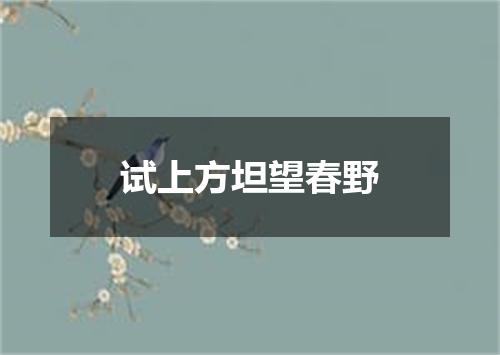 试上方坦望春野