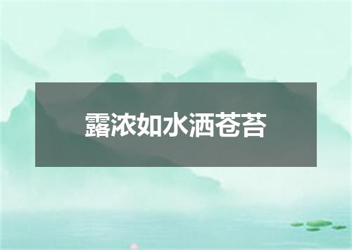 露浓如水洒苍苔