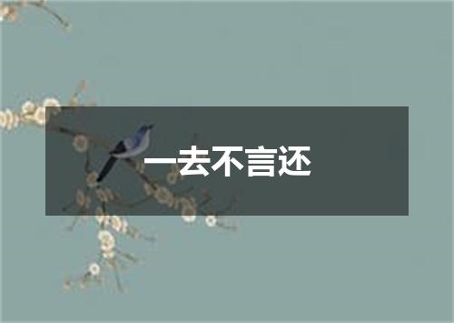 一去不言还