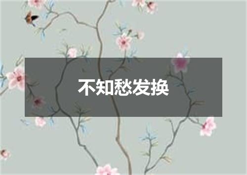 不知愁发换