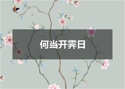 何当开霁日